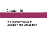 The Interplay between Education and Occupation