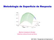 Metodologia de Superf