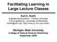 Facilitating Learning in Large Lecture Classes PowerPoint PPT Presentation