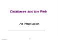 Databases and the Web PowerPoint PPT Presentation
