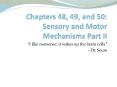 Chapters 48, 49, and 50: Sensory and Motor Mechanisms Part II PowerPoint PPT Presentation