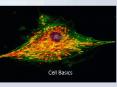 Cell Basics PowerPoint PPT Presentation