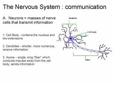 The Nervous System : communication