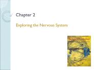 Exploring the Nervous System