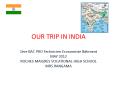 OUR TRIP IN INDIA PowerPoint PPT Presentation