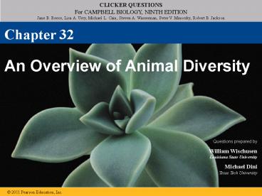 An Overview of Animal Diversity