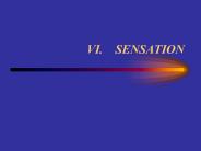 VI.  SENSATION