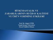 BITKI HASTALIK VE ZARARLILARININ BUGDAY KALITESI VE 