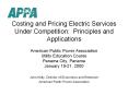 Costing and Pricing Electric Services Under Competition: Principles and Applications PowerPoint PPT Presentation