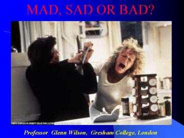 Professor Glenn Wilson, Gresham College, London