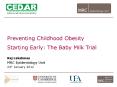 Preventing Childhood Obesity PowerPoint PPT Presentation