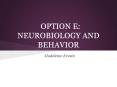 OPTION E: NEUROBIOLOGY AND BEHAVIOR PowerPoint PPT Presentation