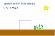Energy flow in ecosystems