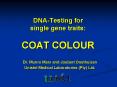 DNA-Testing for single gene traits: COAT COLOUR PowerPoint PPT Presentation