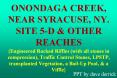 ONONDAGA CREEK, NEAR SYRACUSE, NY. SITE 5-D PowerPoint PPT Presentation