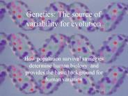 Genetics: The source of variability for evolution