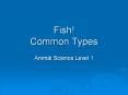 Fish! Common Types PowerPoint PPT Presentation