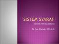 Sistem syaraf PowerPoint PPT Presentation
