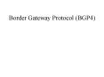 Border Gateway Protocol (BGP4) PowerPoint PPT Presentation
