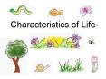 Characteristics of Life PowerPoint PPT Presentation