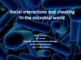 Social interactions and cheating in the microbial world PowerPoint PPT Presentation
