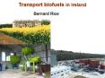 Transport biofuels in Ireland PowerPoint PPT Presentation