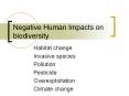 Negative Human Impacts on biodiversity PowerPoint PPT Presentation