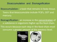 Bioaccumulation and Biomagnification