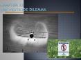 Chapter 22 The Pesticide Dilemma PowerPoint PPT Presentation