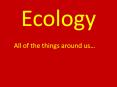 Ecology PowerPoint PPT Presentation