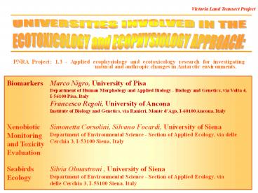 Nessun titolo diapositiva