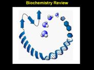 Biochemistry Review