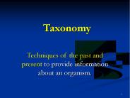 Taxonomy