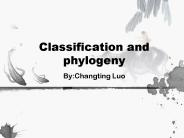 Classification and phylogeny