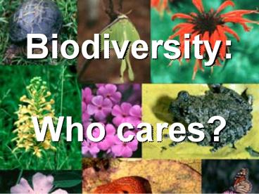 Biodiversity:  Who cares?