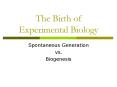The Birth of Experimental Biology PowerPoint PPT Presentation