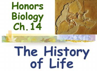 Honors Biology Ch. 14