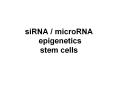 siRNA / microRNA epigenetics stem cells PowerPoint PPT Presentation