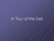 A Tour of the Cell