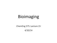 Bioimaging