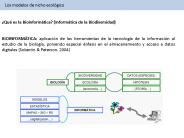 Diapositiva 1