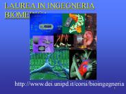 Presentazione di PowerPoint