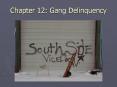Chapter 12: Gang Delinquency PowerPoint PPT Presentation