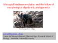 Marsupial herbivore evolution and the failure of morphological algorithmic phylogenetics PowerPoint PPT Presentation