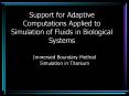 Support for Adaptive Computations Applied to Simulation of Fluids in Biological Systems PowerPoint PPT Presentation