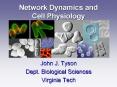 Network Dynamics and Cell Physiology PowerPoint PPT Presentation