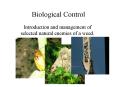 Biological Control PowerPoint PPT Presentation