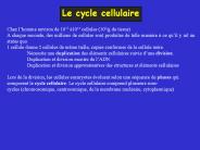 Aucun titre de diapositive