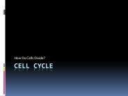 Cell cycle