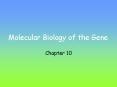 Molecular Biology of the Gene PowerPoint PPT Presentation
